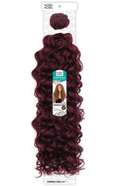 Model Model Gardenia Burmese curl 24”