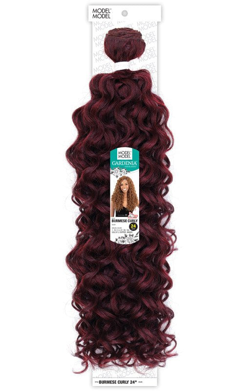 Model Model Gardenia Burmese curl 24”