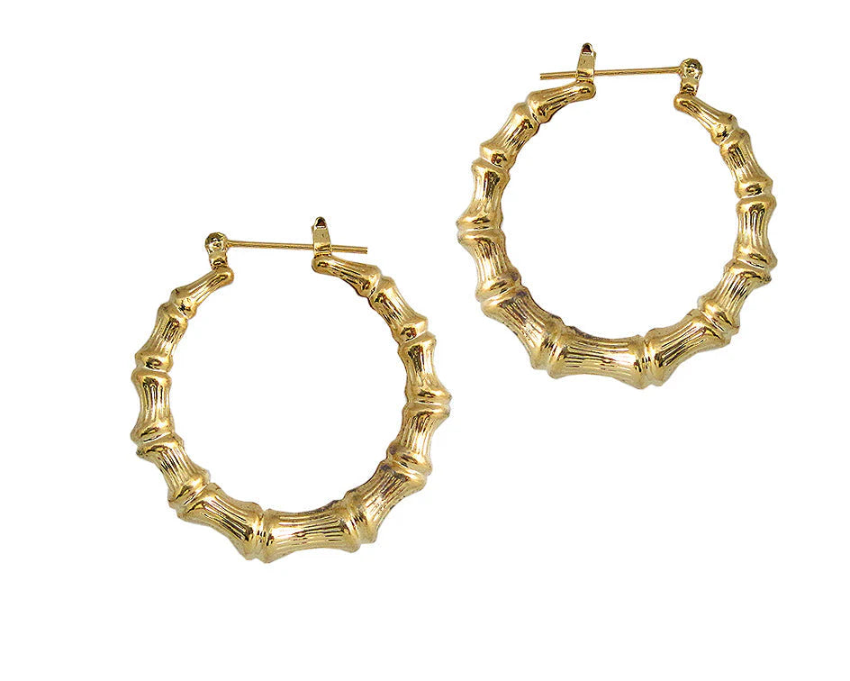 Joy Jewelry pincatch earrings. C13 gold