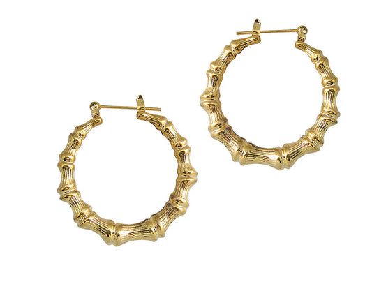 Joy Jewelry pincatch earrings. C13 gold